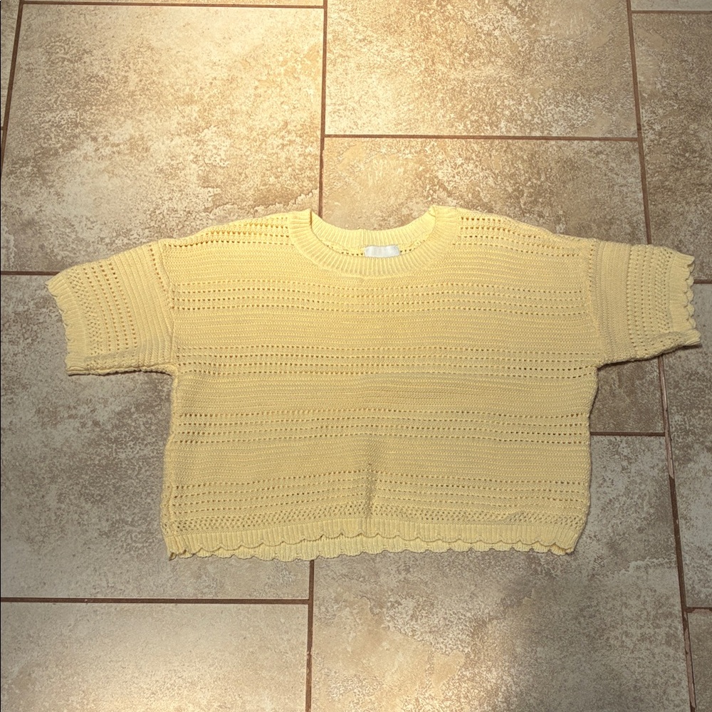 Pink Rose Pale Yellow Openwork Cropped Scoop Knit Sweater